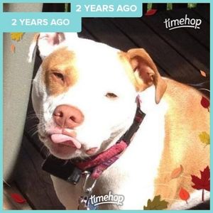 Meet your Posher, Maryann